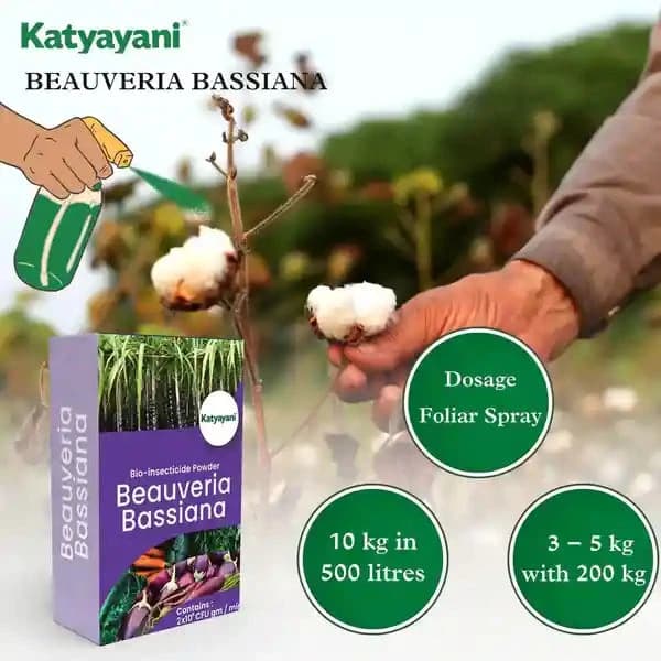 Katyayani Beauveria Bassiana Bio Insecticide Powder, Advanced Natural Insect Control Solution & Pest Management - Image 3
