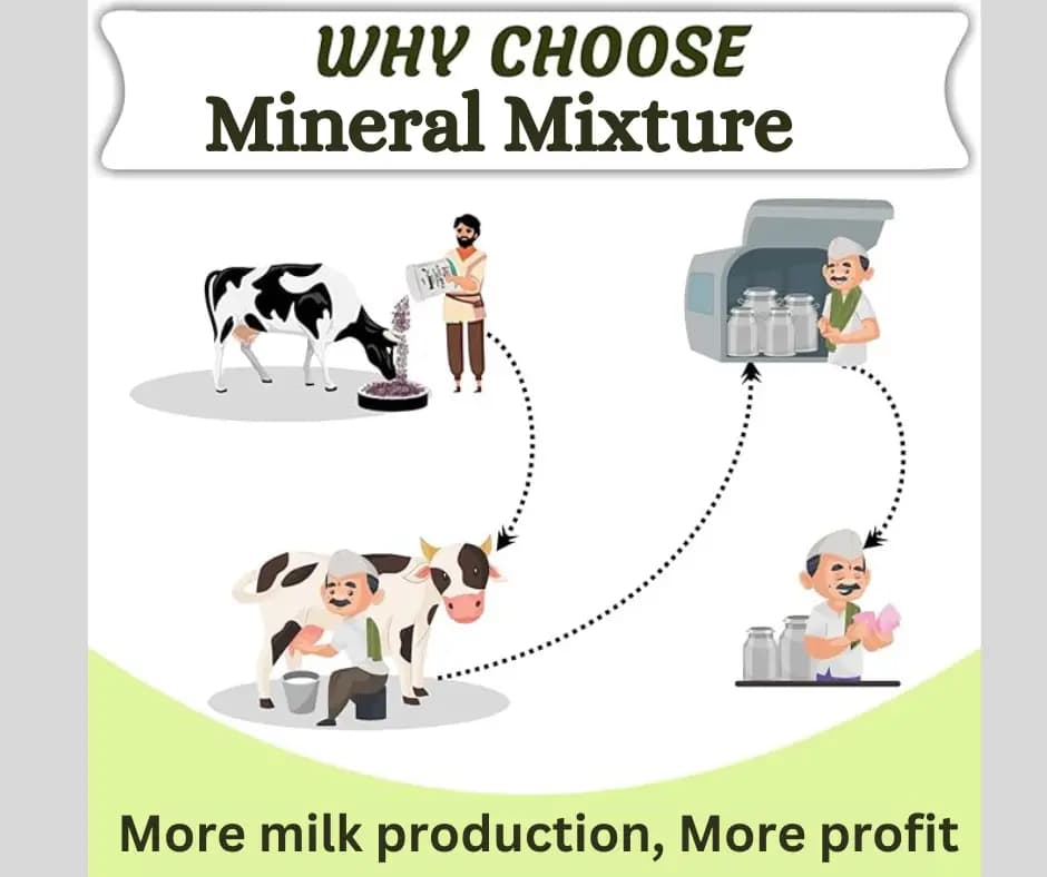 PASHU SVASTH MINERAL MIXTURE, Animal Health Supplement, Increase Livestock Health & Productivity, The Mixture Enhances Milk Production - Image 8