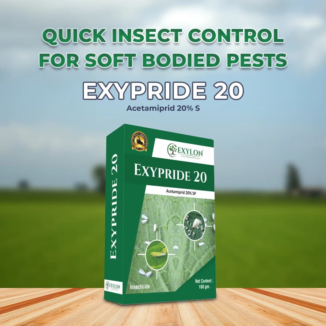 Exylon Exypride 20 Acetamiprid 20% SP Insecticide, Effective For Sucking Pest Control - Image 2