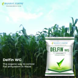 Bharat Certis DELFIN WG Bacillus Thuringiensis WG Biological Insecticide, Effective Control Lepidopteran Larvae And Caterpillars In Crops 3