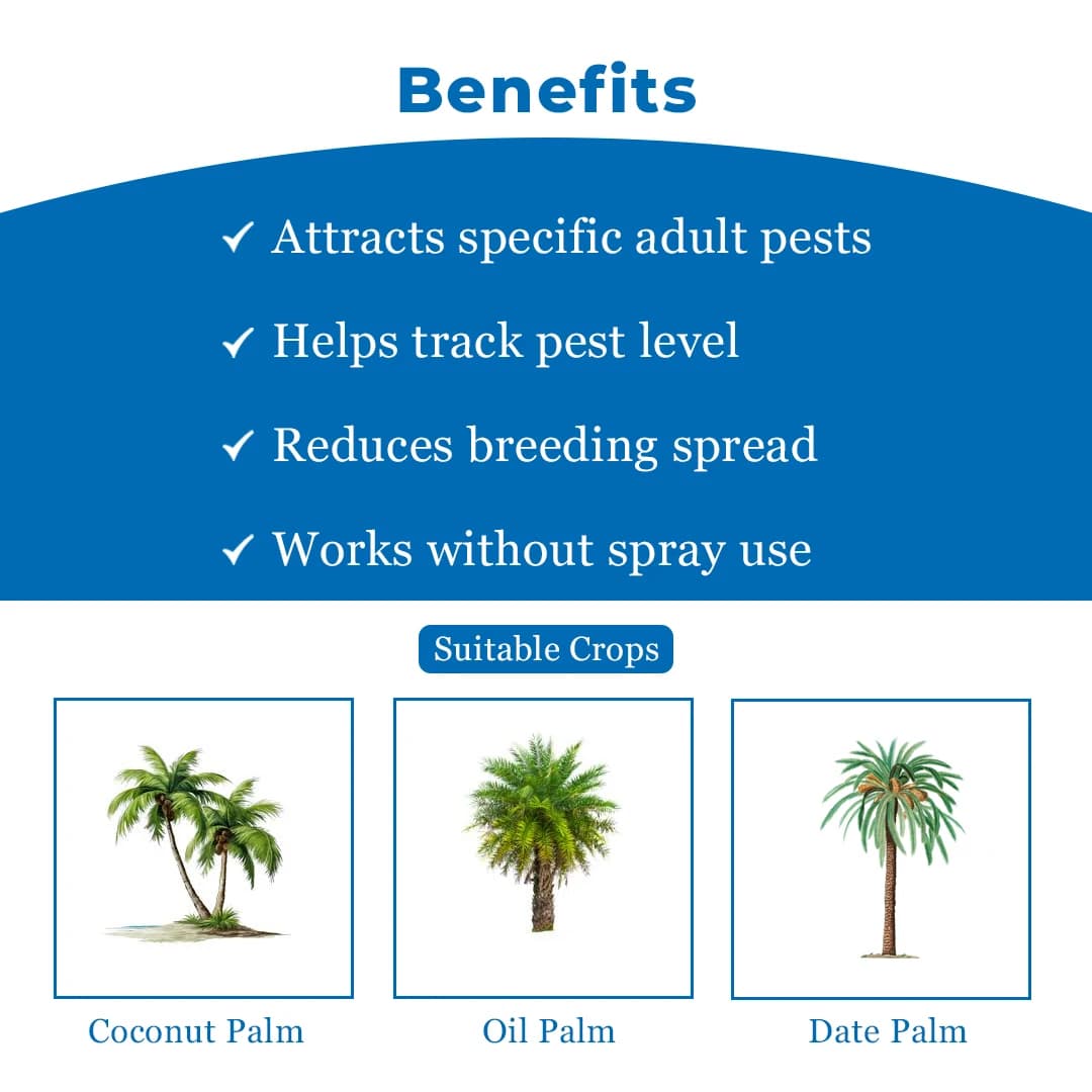 Pheromone Lure (Rhynchophorus Ferrugineus) For RPW - Red Palm Weevil. Useful In Coconut Palm, Date Palm, Oil Palm & Areca Nut Palm. - Image 4
