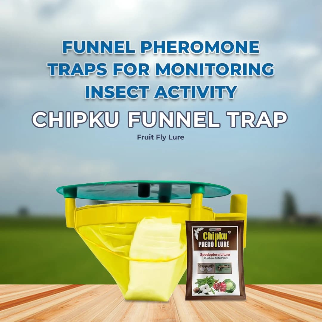 Chipku Funnel Trap With Spodoptera Litura Lure - Image 2