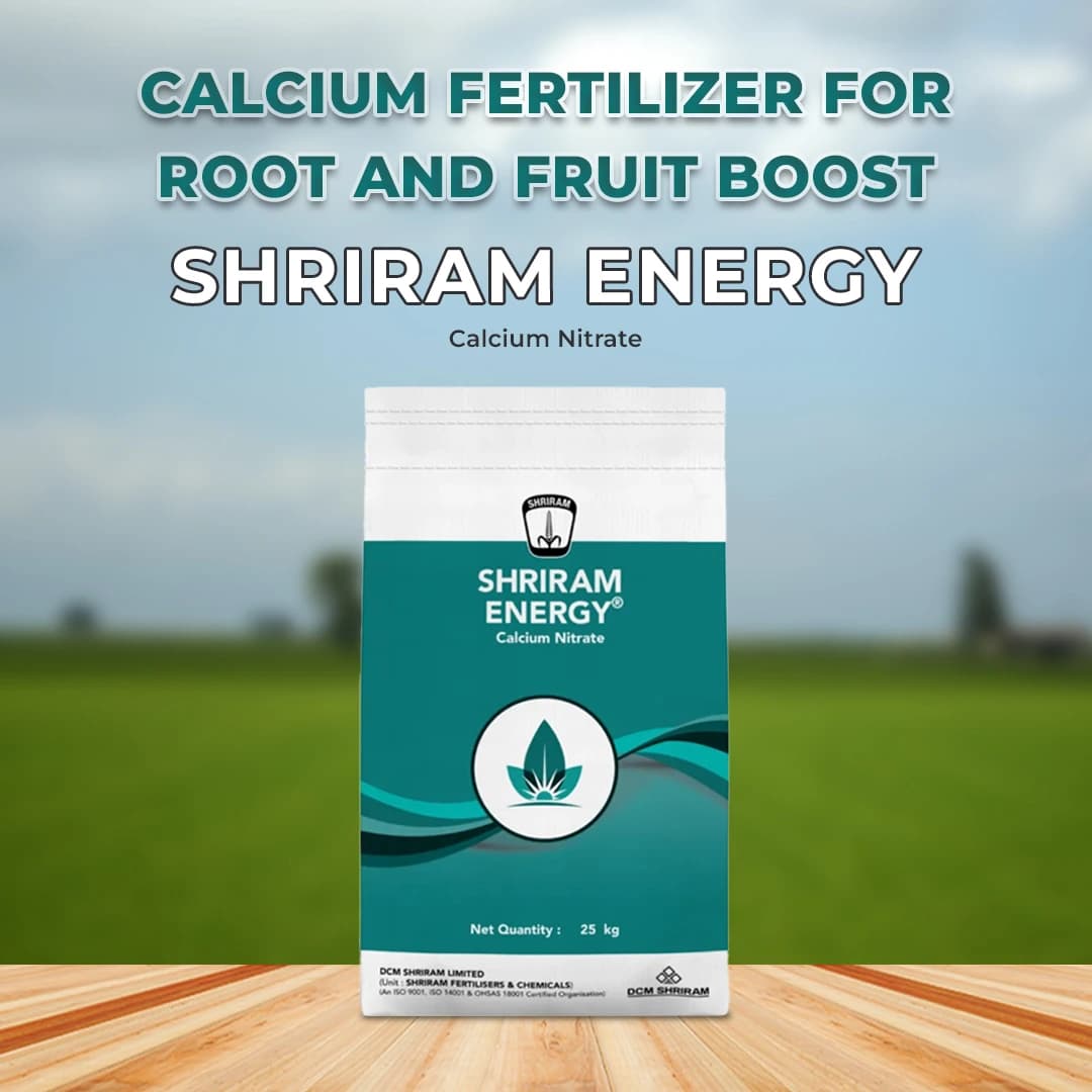 Shriram Energy (Calcium Nitrate) Fertilizer, Increases Crop Quality and Yield - Image 2