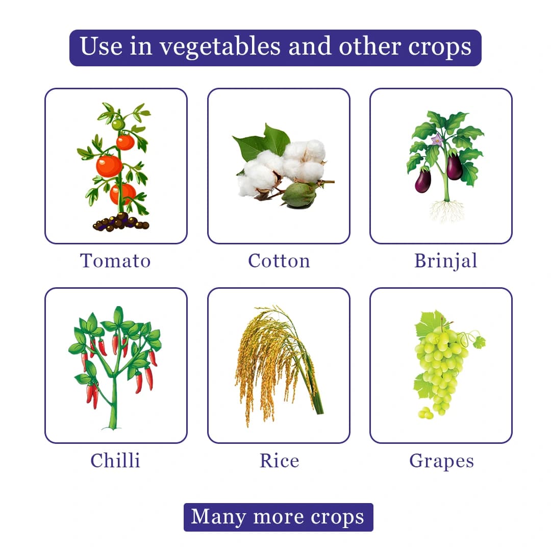 Exylon Aztec Fungicide - Image 4