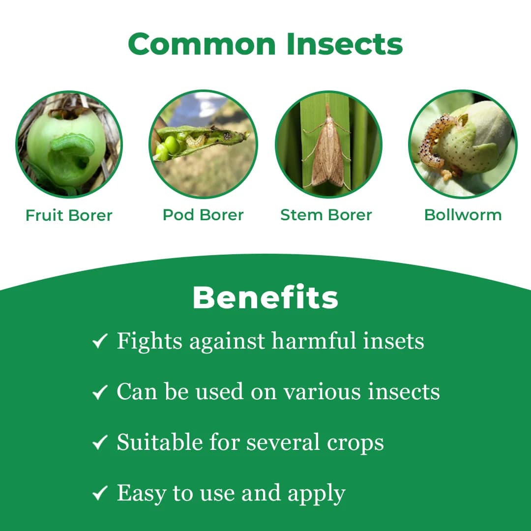 Lamor Pro Insecticide - Lambda Cyhalothrin 5% EC - Image 3
