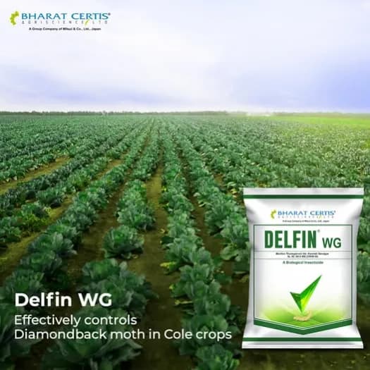 Bharat Certis DELFIN WG Bacillus Thuringiensis WG Biological Insecticide, Effective Control Lepidopteran Larvae And Caterpillars In Crops - Image 2