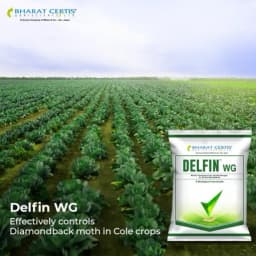 Bharat Certis DELFIN WG Bacillus Thuringiensis WG Biological Insecticide, Effective Control Lepidopteran Larvae And Caterpillars In Crops 2
