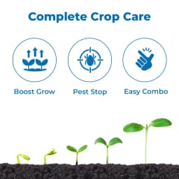 AgriBegri Combo Pack (Emoctan 250gm + Agrigib 500ml) Powerful Combination, Complete Crop Protection and Growth Solution 3