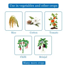 PRAHAR - Lambda Cyhalothrin 5% EC For Controls Sucking and Lepidopteron Pests in Various Crops. 4