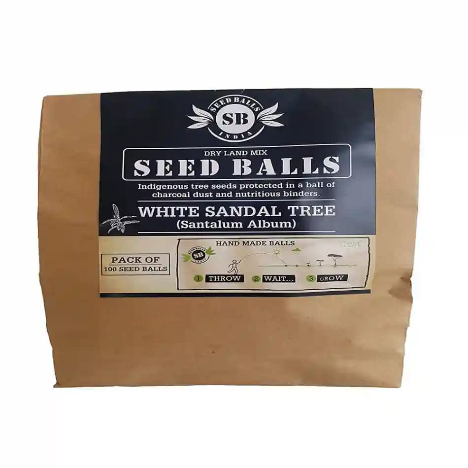 White Sandal Seed Balls, made from a unique blend of seed And clay, peat free compost - Image 1