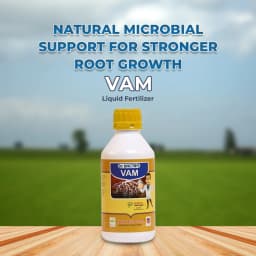 Dr. Bacto\'s VAM, Liquid Formulation of Vesicular Arbuscular Mycorrhiza, Liquid Fertilizer 2