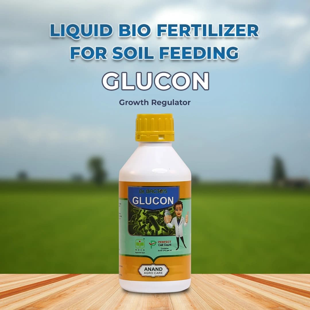 Dr. Bacto\'s Glucon, Nitrogen Fixation In Roots, Stems And Leaves of Sugarcane Plant, Promotes Root Proliferation And Increases Nutrient Uptake - Image 2