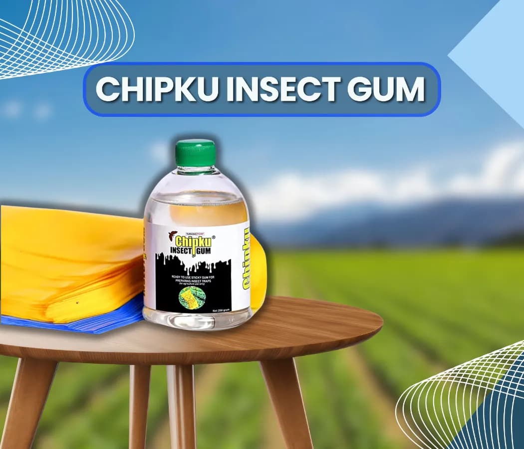 Chipku Pest Control Kit, Includes Gum Bag, Sticky Traps, DIY Pack , Gum Bottle, Yellow & Blue Polybags - Image 2