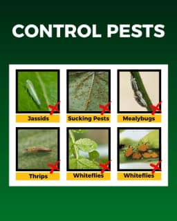 Katyayani Sarvashakti Organic Pesticide, Ultimate Control For Sucking Pests 3