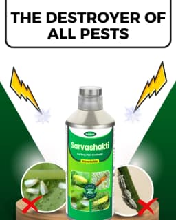 Katyayani Sarvashakti Organic Pesticide, Ultimate Control For Sucking Pests 2