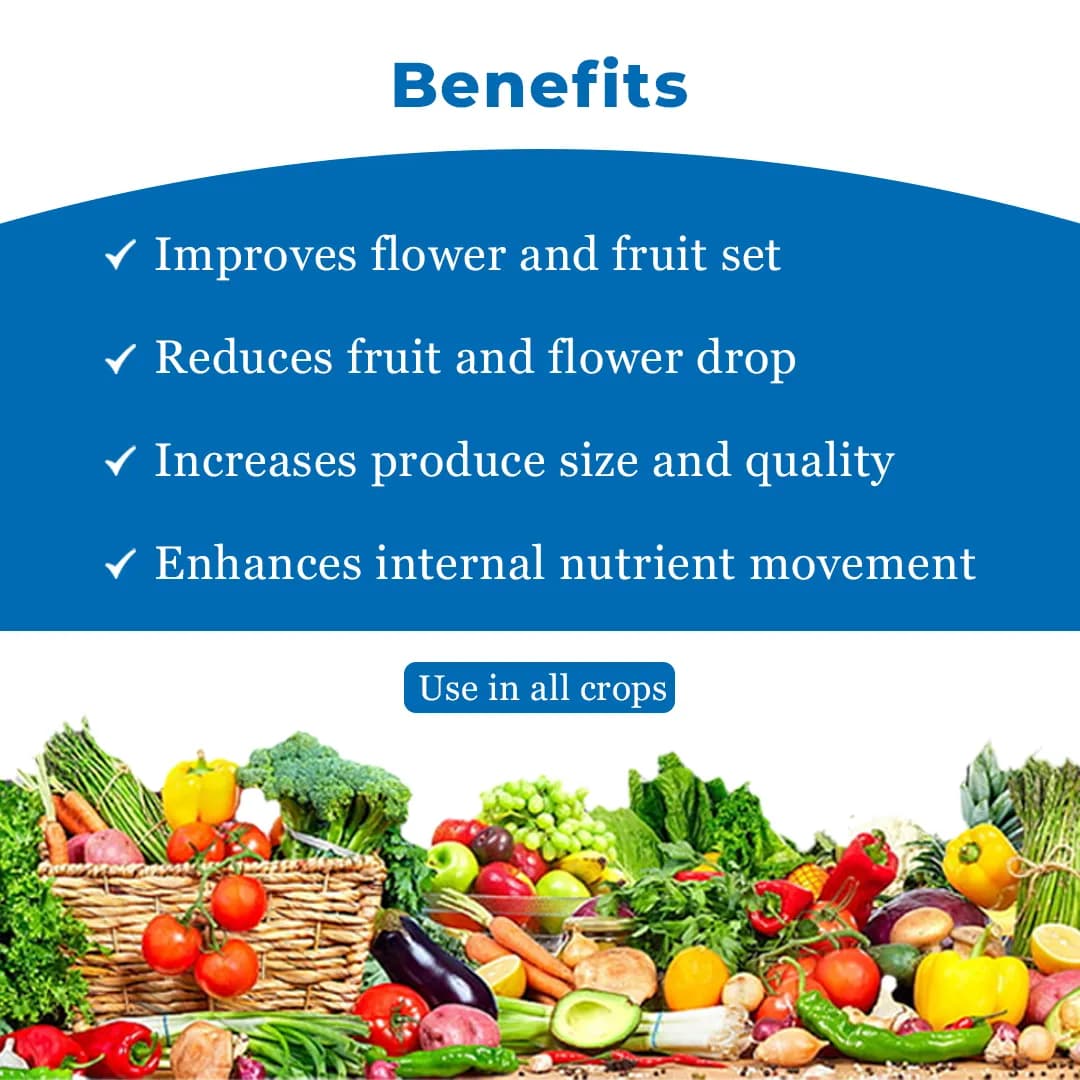 Tata Flowbor - Plant Growth Nutrient (Liquid Boron) - Image 4