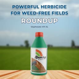 Bayer Monsanto Roundup Glyphosate 41% SL, For Killing all Weeds Non-Selective 2