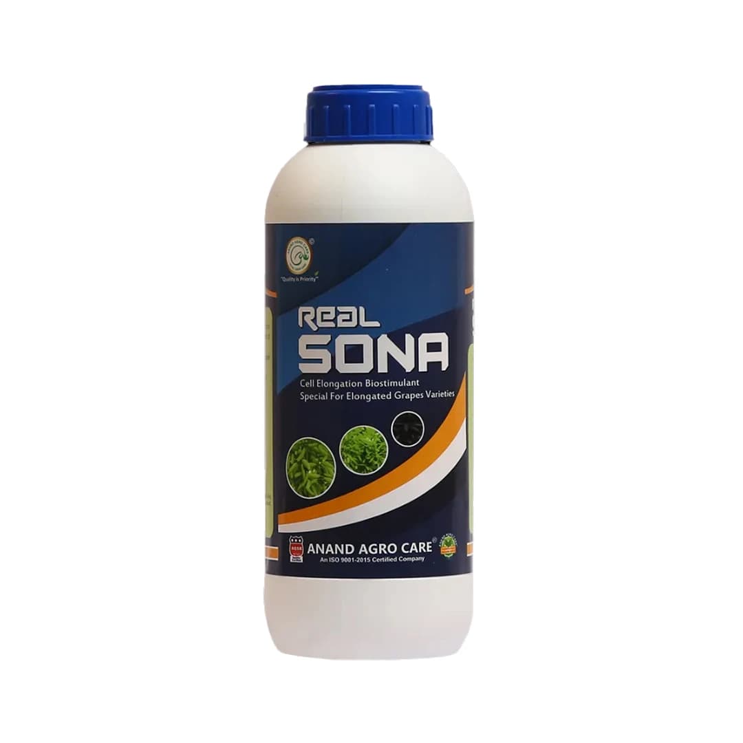 Real Sona (Grapes Special) Improves Length, Bunch Berry, Color & Weight Of Grapes - Image 1