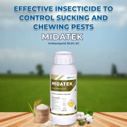 Midatek Insecticide - Imidacloprid 30.5% SC 2