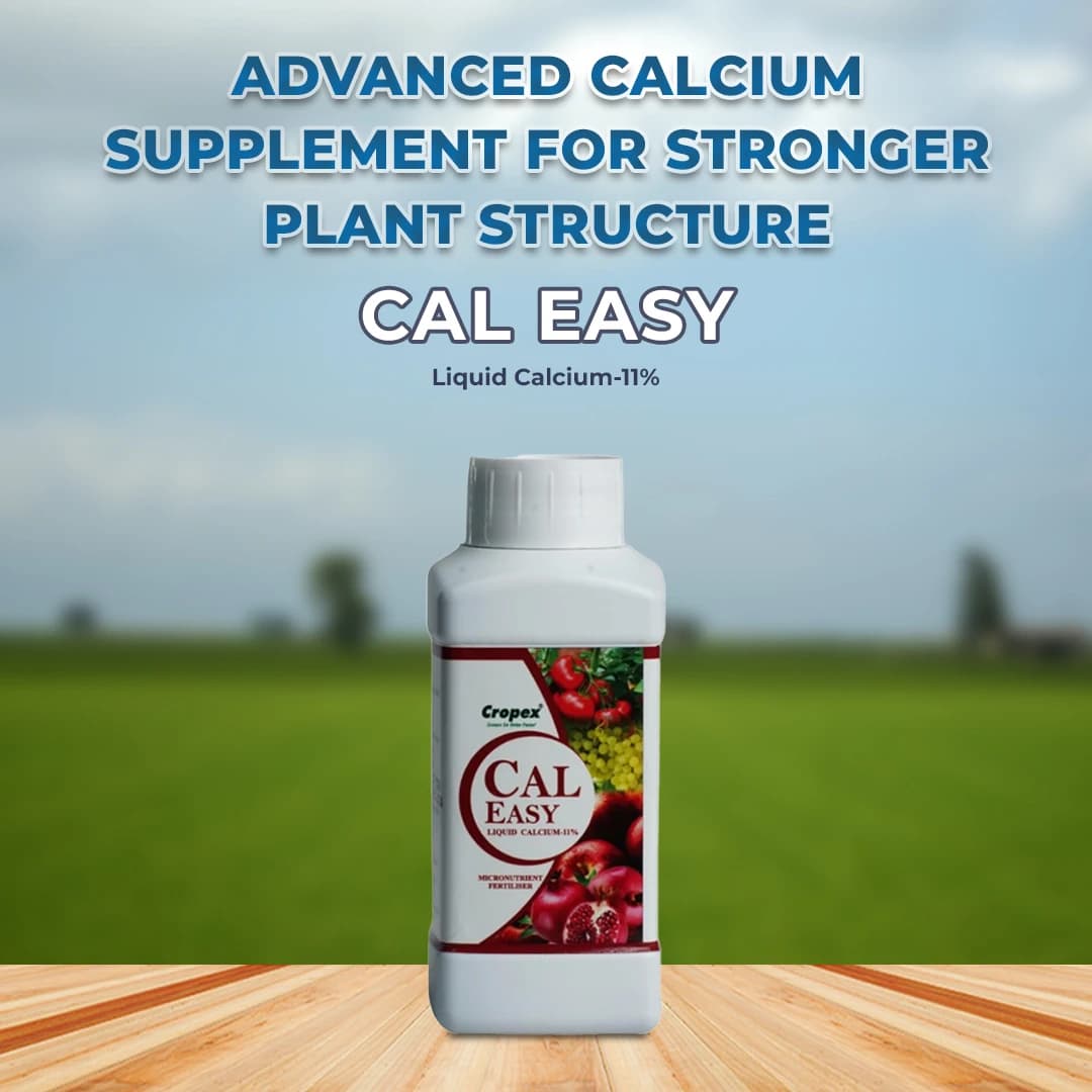 CAL Easy Liquid Calcium-11% Micronutrient Fertilizer, Makes the cell walls stronger and helps in tissues development. - Image 2