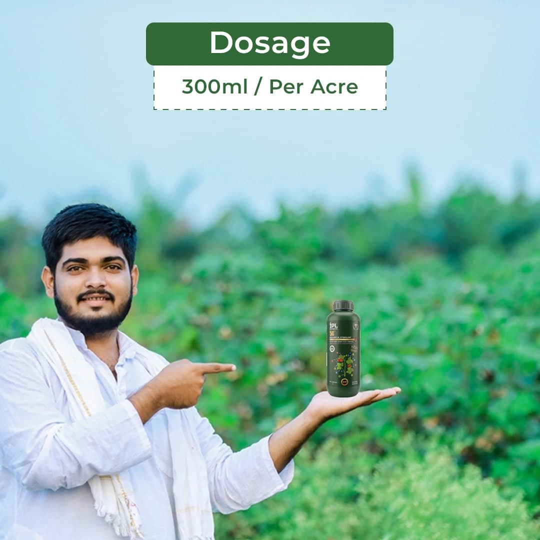 IPL Biologicals 5G Bio Stimulants, Organic Certified Humic And Fulvic Complex - Image 5