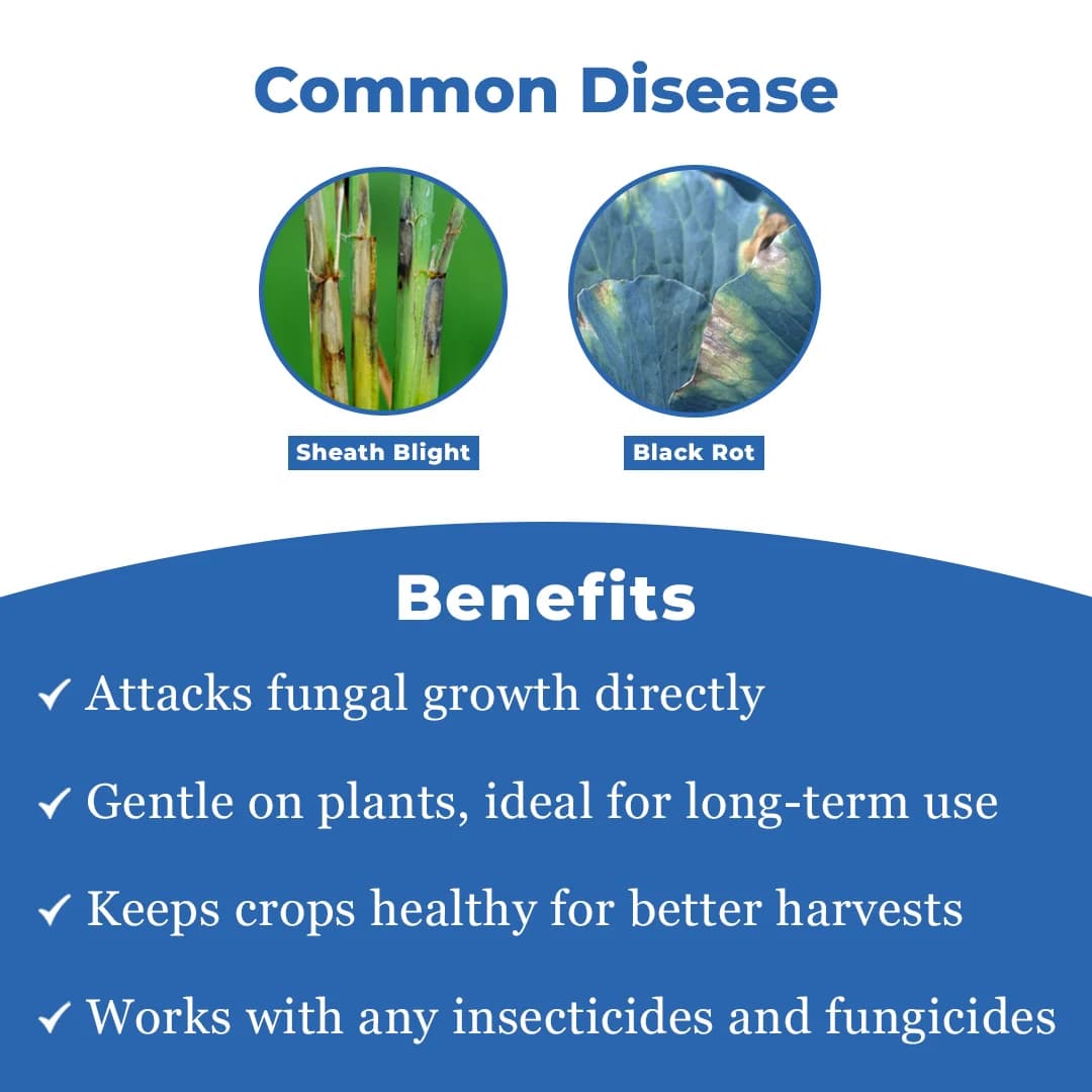 Valipro Fungicide - Validamycin 3% L - Image 3