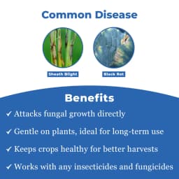 Valipro Fungicide - Validamycin 3% L 3