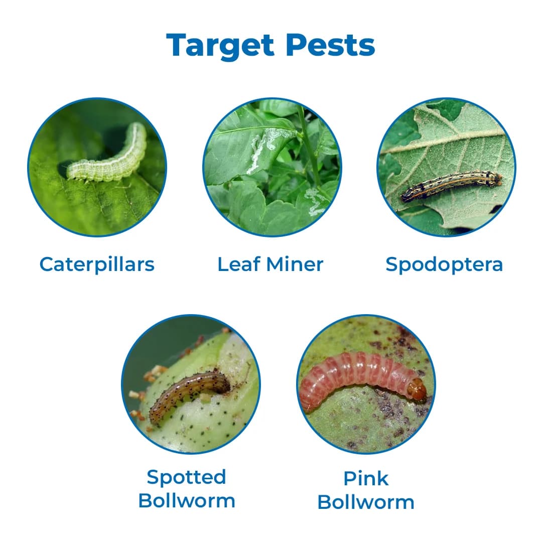EBS Organo Killer Larvicide For All Types Of Larva, Effective Against Caterpillars, Borers And Leaf Miners - Image 3