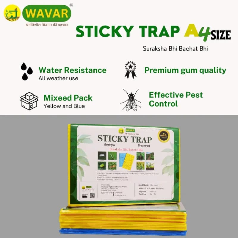 WAVAR A4 Sticky Trap, 12 x 8 Inch, 3mm Thickness, Eco Friendly (Combo Of 20 Yellow + 5 Blue) - Image 2