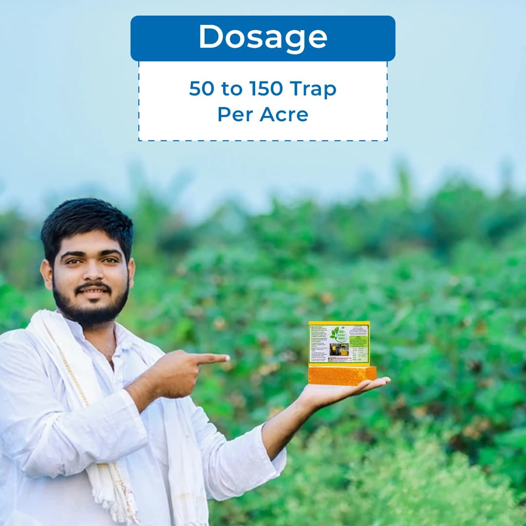 Sonkul Agro Industries Insect Killer Attractant Yellow Sticky Trap For Sucking Pest Like Aphids, Jassids, Thrips - Image 5