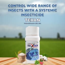 Texan Insecticide - Thiamethoxam 25% WG 2