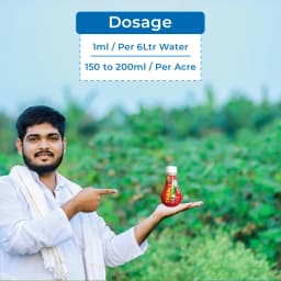 Sumitomo Taboli Plant Growth Promoter, Controls Tree Vigour, Reduces Pruning costs. 5