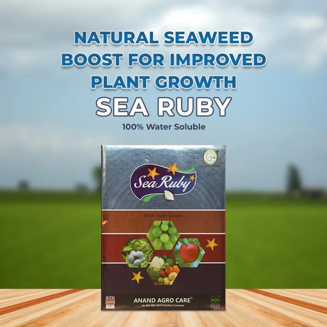 Anand Sea Ruby (Powder), 100% Water Soluble Naturally Derived Green Seaweed Extract, Enhances Yield And Marketable Quality - Image 2
