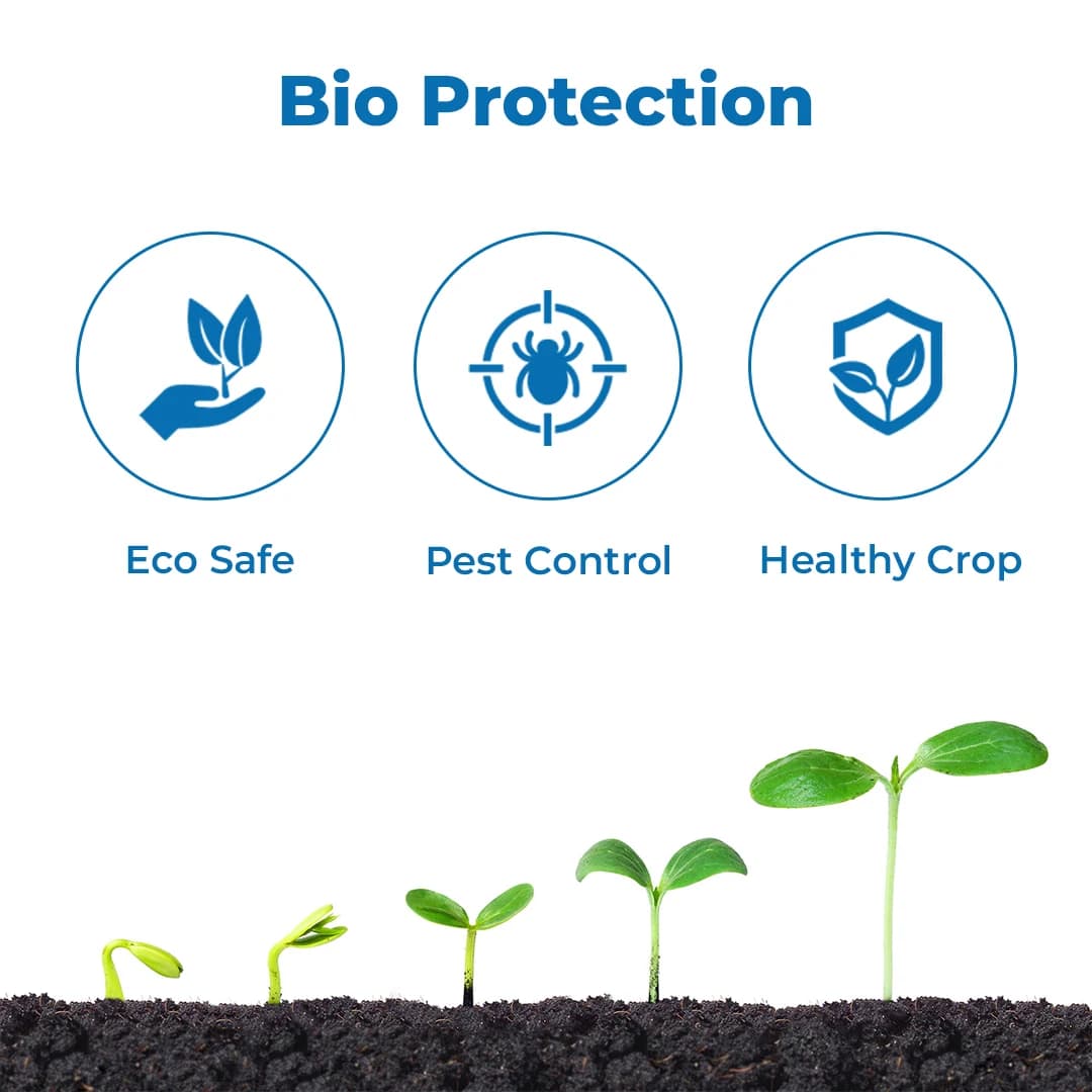 BACF Mycota Beauveria Bassiana 1.15% WP Bio Pesticide, Best For Cattle Piller, Grubs, Whitefly. - Image 3