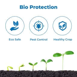 BACF Mycota Beauveria Bassiana 1.15% WP Bio Pesticide, Best For Cattle Piller, Grubs, Whitefly. 3