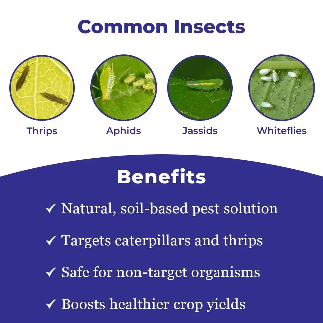 Katyayani Spino45 Insecticide - Spinosad 45% SC - Image 3