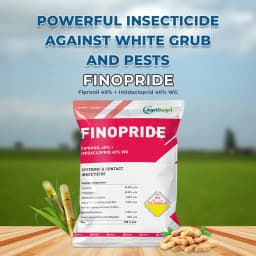 Finopride Insecticide - Fipronil 40% + Imidacloprid 40% WG 2