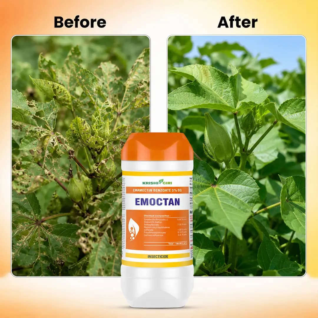 Emoctan Insecticide - Emamectin Benzoate 5% SG - Image 2
