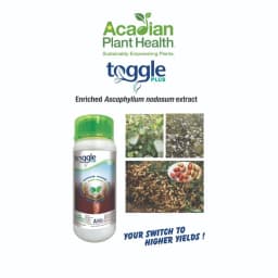 Acadian Toggle Plus Plant Growth Regulator, Helps Enhance Yields and Defend Against Yield-Robbing Impacts 2