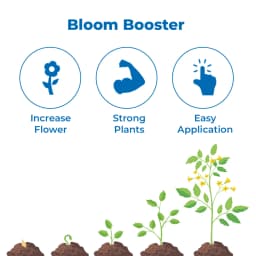 FMC Legend Bio Solution - Used For Better Flowering And Fruiting Of Crops. 3
