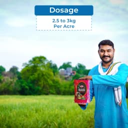 T.stanes Modulin Foliar Bio Stimulant, Organic Mineral Activators, Promote Plant Metabolic Activities for An Increase Number of Flowers and Growth 5