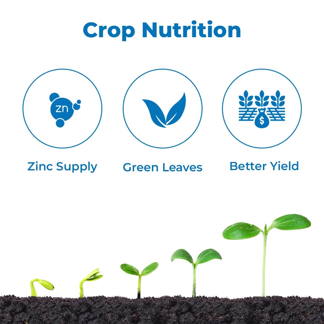Anand Agro Insta Procheal Zinc 12% , Amino Chelated Zinc Powder, Micro Nutrient for Agricultural Foliar Application - Image 3