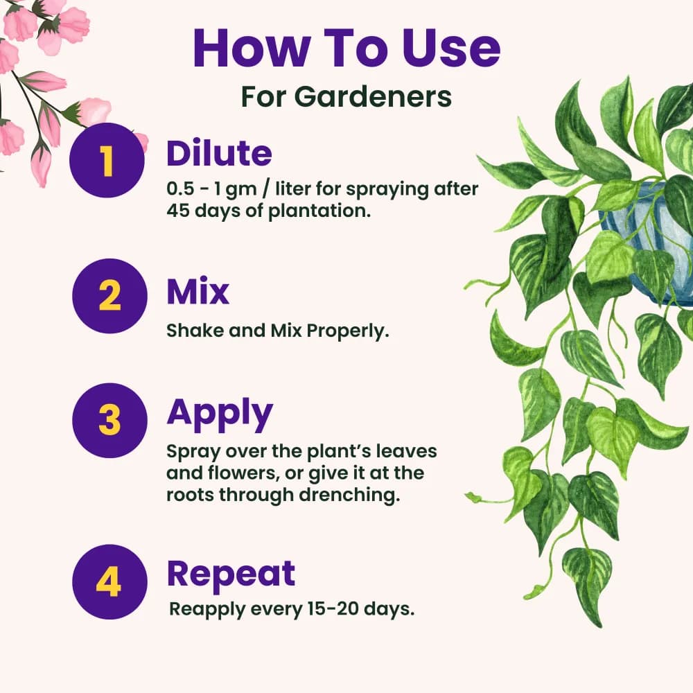 Utkarsh CaLong (Calcium-Ca 9%, EDTA Chelated Fertilizer) 100% Water Soluble Foliar Spray - Image 6