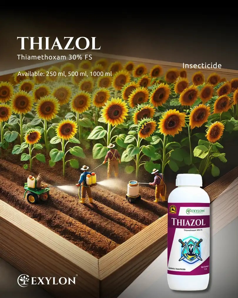 Exylon Thiazol Thiamethoxam 30% FS Insecticide, Efficient Seed Treatment For Early Pest Control