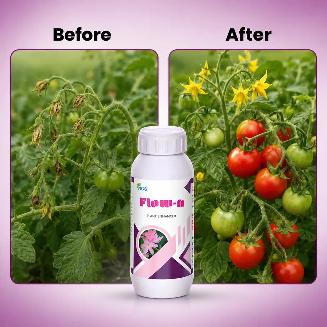 Flow-N - Organic Flowering Stimulant, Plant Growth Promoter - Image 7