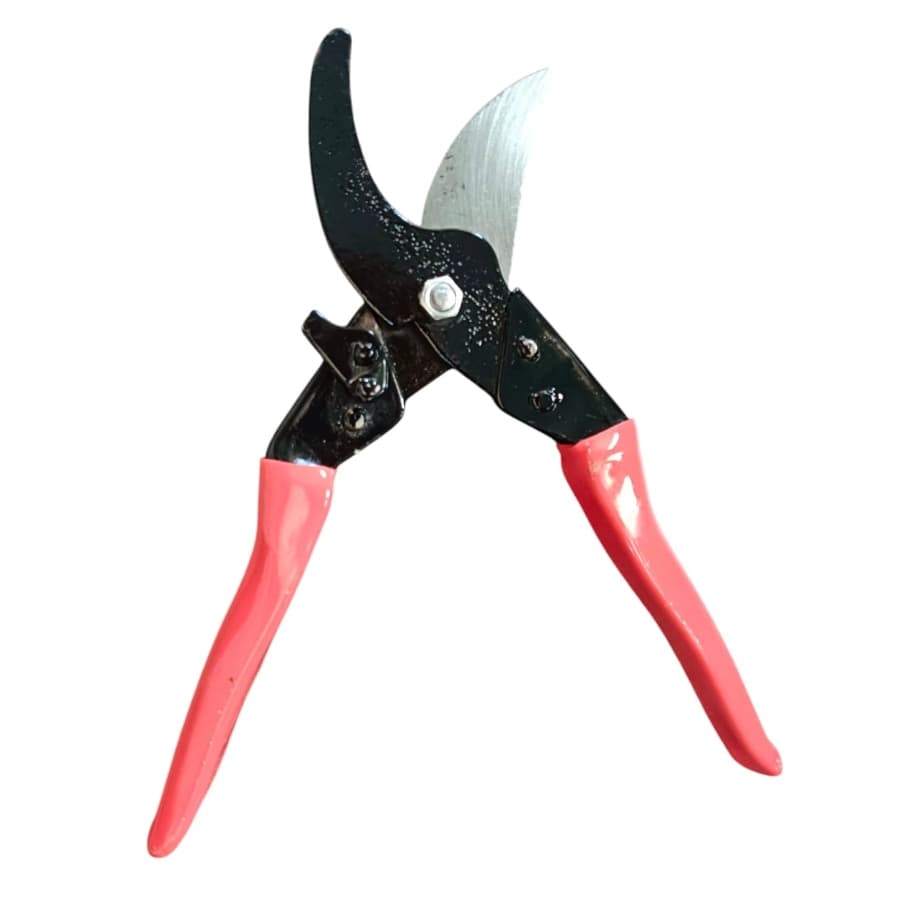 Bharat Agrotech Garden Secateurs Cutter, Heavy Duty, Indian And Taiwan Design For Garden Use - Image 2