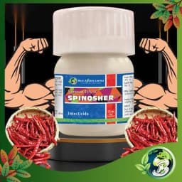 Best Agrolife Spinosher Spinosad 45% SC Insecticide, Effective Control Of Bollworm, Borer & Thrips In Cotton, Chillies, And Red Gram 3