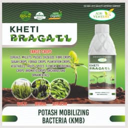 Agriventure Kheti Pragati (Kmb - Potassium Mobilizing Bacteria) Plant Growth And Development Bactericide Organic Product Bio Fertilizers 3