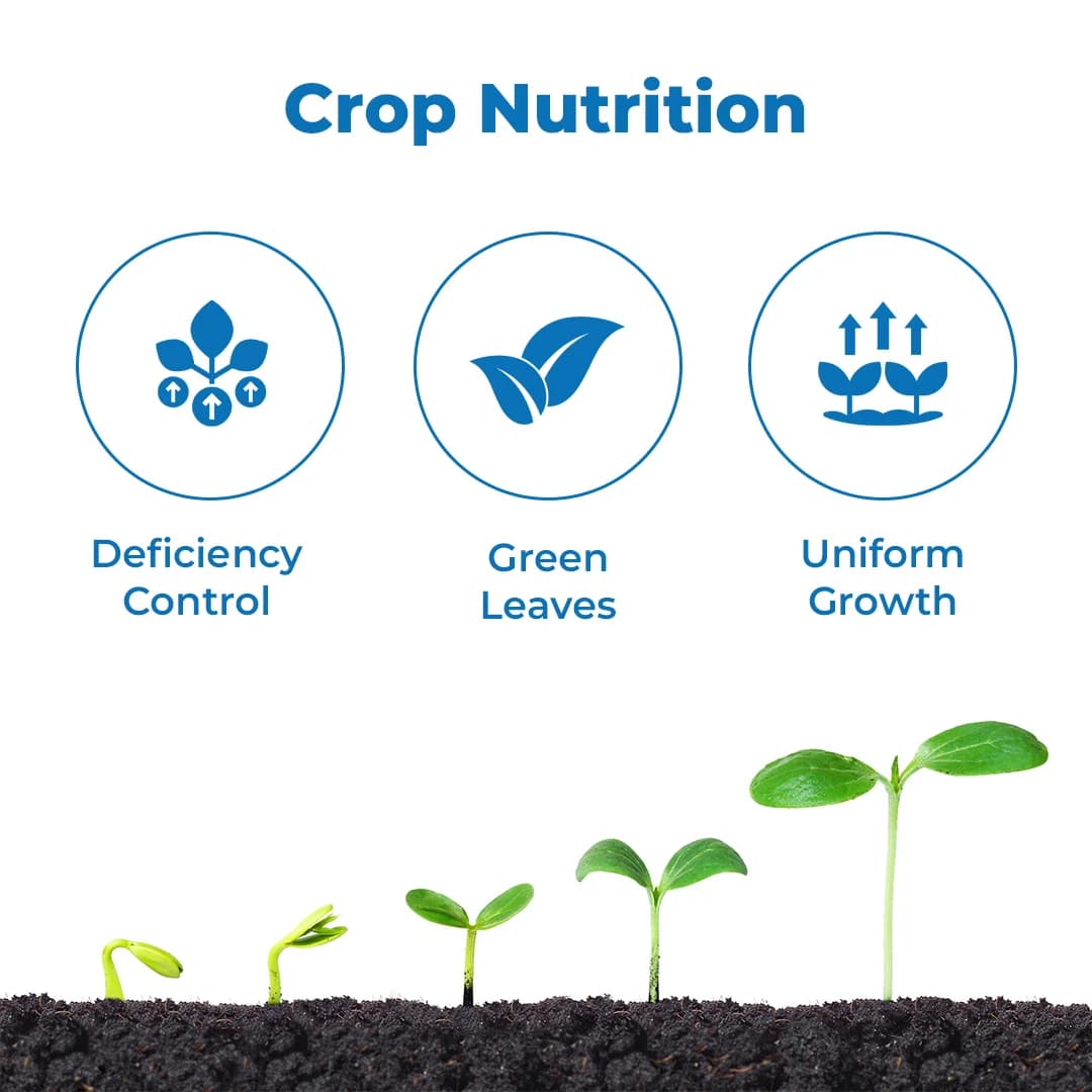 Geolife Balance Nutri Multi Micro Nutrient , Contain Zinc (Zn), Iron (Fe), Boron (B), Copper (Cu), Manganese (Mn) & Molybdenum (Mo) - Image 3