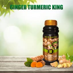 Hifield Ginger and Turmeric King Growth Promoter, Weight and Size Increase for Ginger and Turmeric. 3